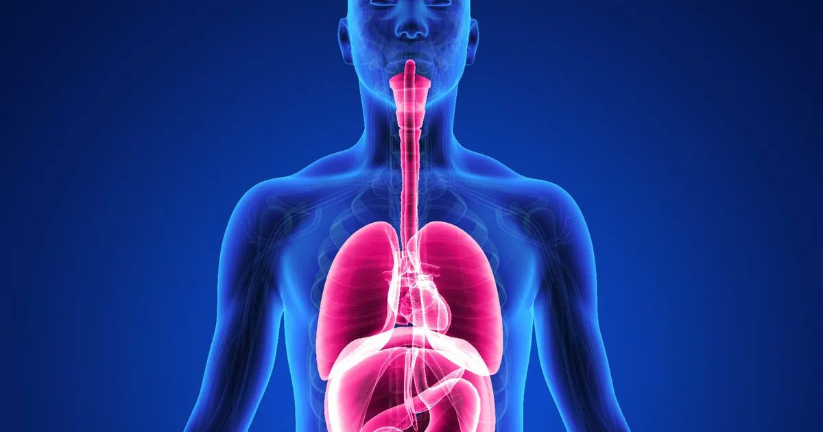 ¿Clasificar enfermedades por órganos o síntomas? Las proteínas van más allá