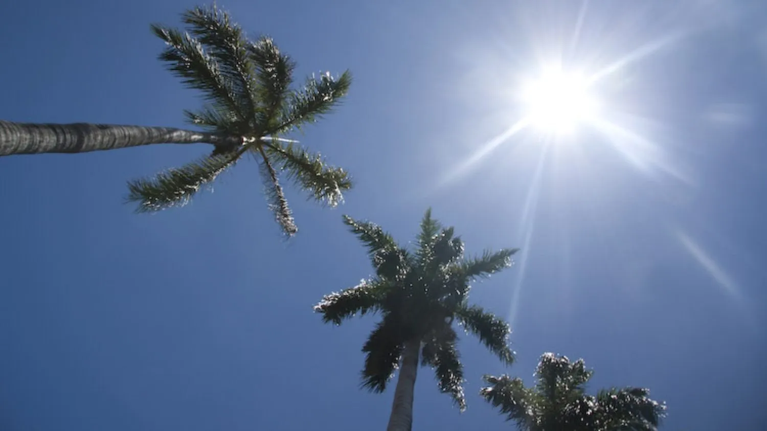 Domingo soleado y de escasas lluvias, pronostica Onamet