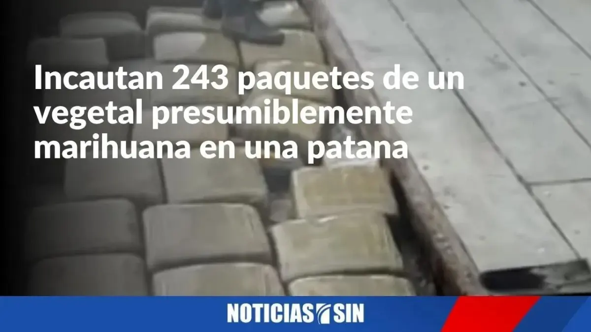 Incautan 243 paquetes de marihuana en patana
