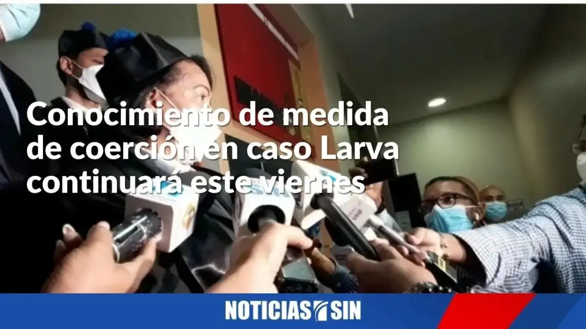 Conocimiento de coerción en caso Larva continuará este viernes