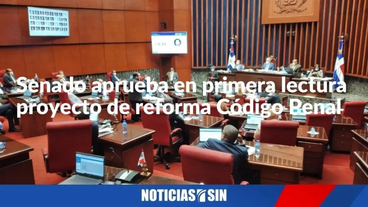 Senado aprueba en primera lectura Código Penal | Noticias SIN