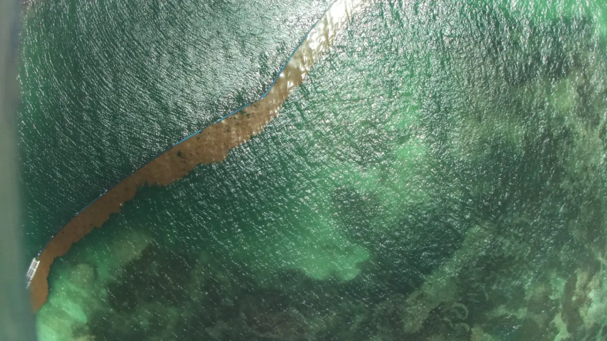 Dominicanos diseñan primer satélite pronosticará llegada del sargazo a playas del Caribe