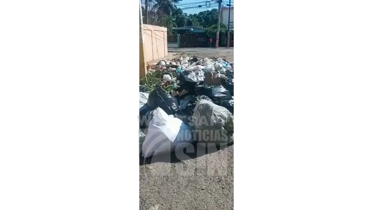 Ciudadana denuncia cúmulo de basura en sector de SDE