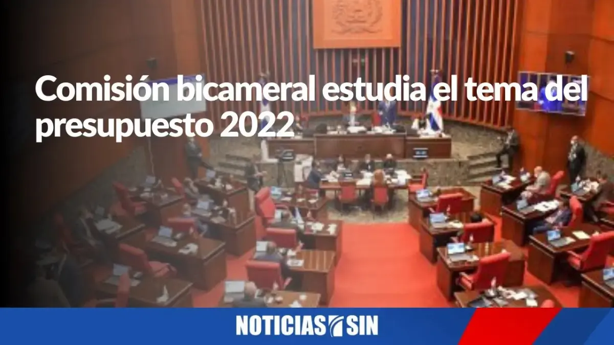 Comisión bicameral estudia el tema del presupuesto para el 2022