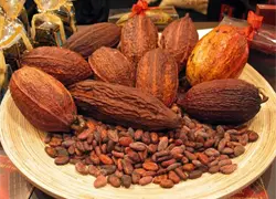 Tabaco, cacao y frutas entre los productos agropecuarios más exportados