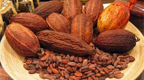 Tabaco, cacao y frutas entre los productos agropecuarios m&aacute;s exportados