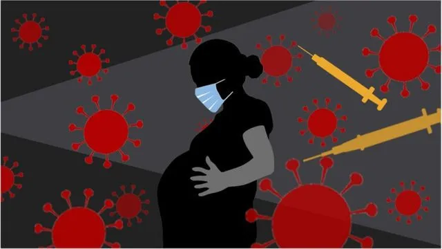 SARS-CoV-2 provoca respuesta inmune en la placenta pero no la infecta
