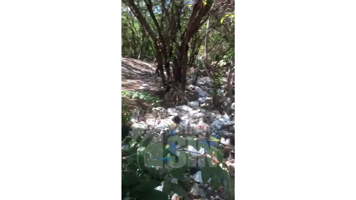 Denuncian alta cantidad de basura en Balneario Boca de Cachón