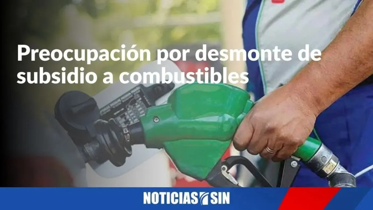 Preocupación por desmonte subsidio a combustibles