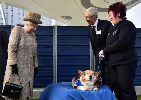 Isabel II rompe tradición con los corgi desde 1944 y adopta un cocker spaniel