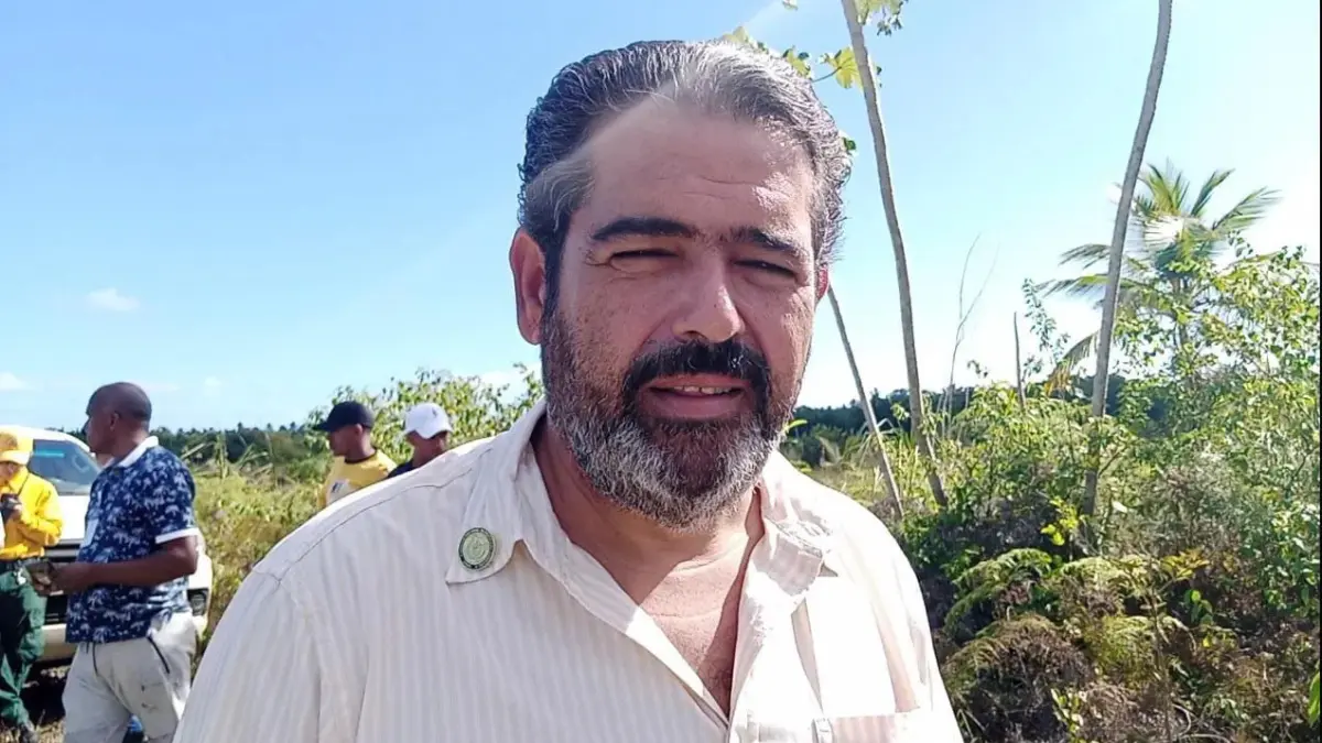 Autoridades investigan causa de incendio en bosque de Las Terrenas