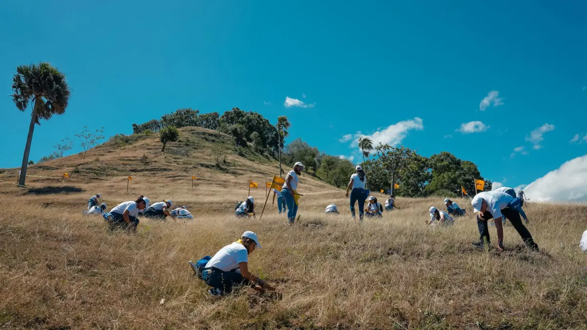 Fortalecen Plan Sierra con siembra de 3,500 árboles