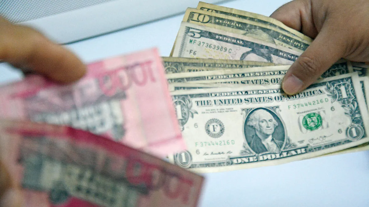 ¿Podría el dólar llegar a cotizarse en 50 pesos?