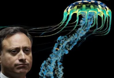 Tribunal rechaza recurso donde Jean Alain solicitaba no se use nombre “Operación Medusa” en caso que lo involucra