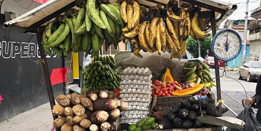 Altagracia Paulino advierte consumidores deben tener cuidado con ventas callejeras