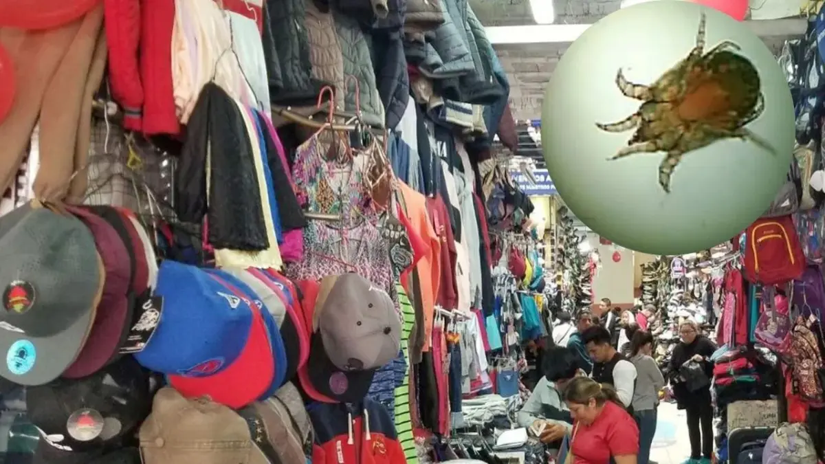 Dermatóloga asegura que ropa de paca no propaga contagios de sarna