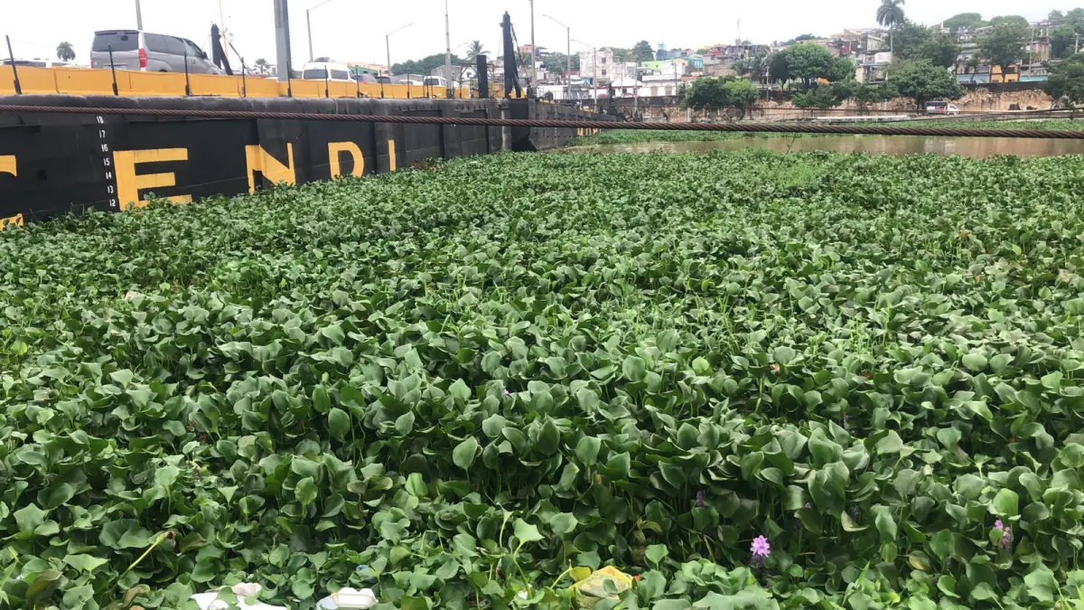 Cúmulo de desechos y lilas producto de las lluvias dificultan la pesca en el Ozama