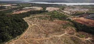 La devastación de la Amazonía brasileña entre enero y mayo bate récord