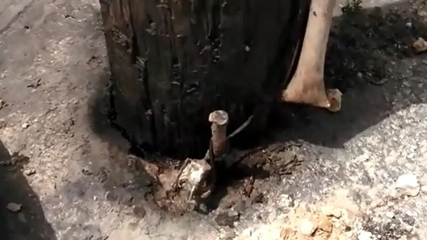 Residentes en Sabana Perdida piden cambiar poste de luz por mal estado