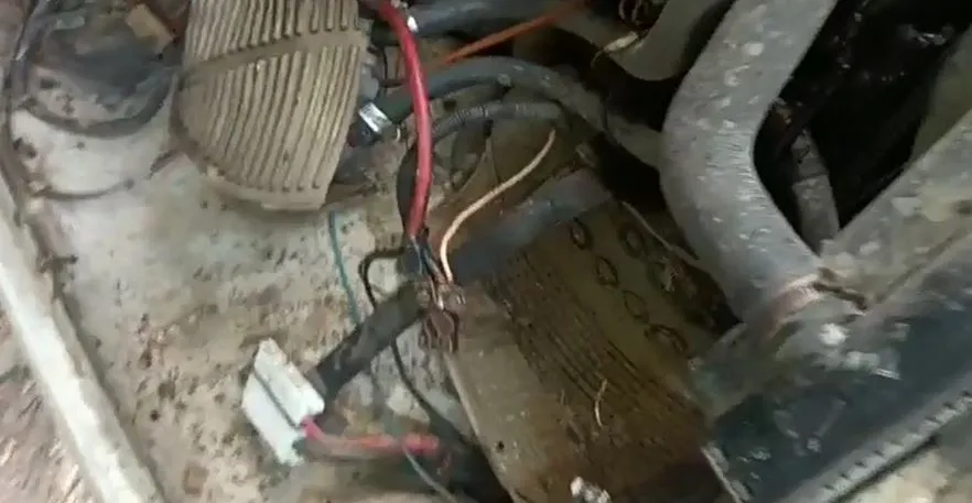 Comerciantes acusan Fortaleza de Salcedo de robarles cerdos y accesorios de vehículo