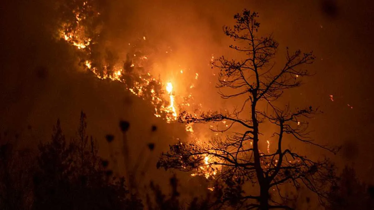 Los incendios forestales se extienden por Italia mientras aumenta el calor
