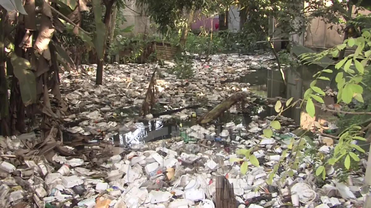 Enjambre de mosquitos por cañada mantiene en zozobra a munícipes de Pantoja