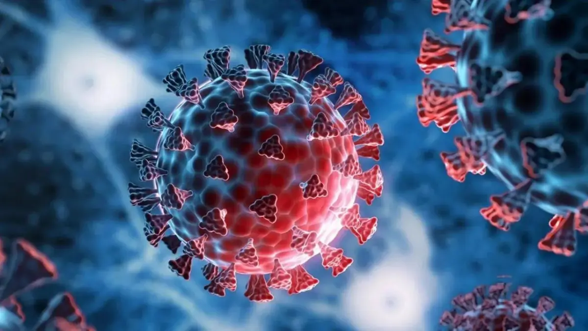 Salud Pública reporta 1,004 casos activos de COVID-19, positividad se sitúa en 22.62%