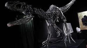 Se subasta en París un dinosaurio de 150 millones de años muy bien conservado