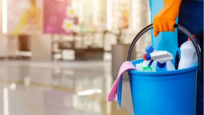 ¿Qué debe incluir el contrato que beneficiará a trabajadoras domésticas?