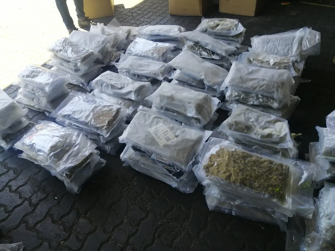 Ocupan 220 paquetes de marihuana en tanque que llegó al Puerto de Haina desde EE.UU.