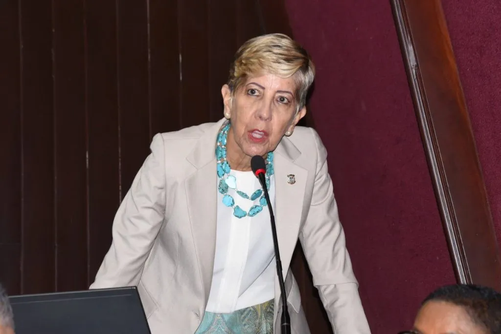 Ginnette Bournigal explota y llama “come M” a algunos de sus compañeros; aclara PRM no tuvo que ver con Marcha Verde