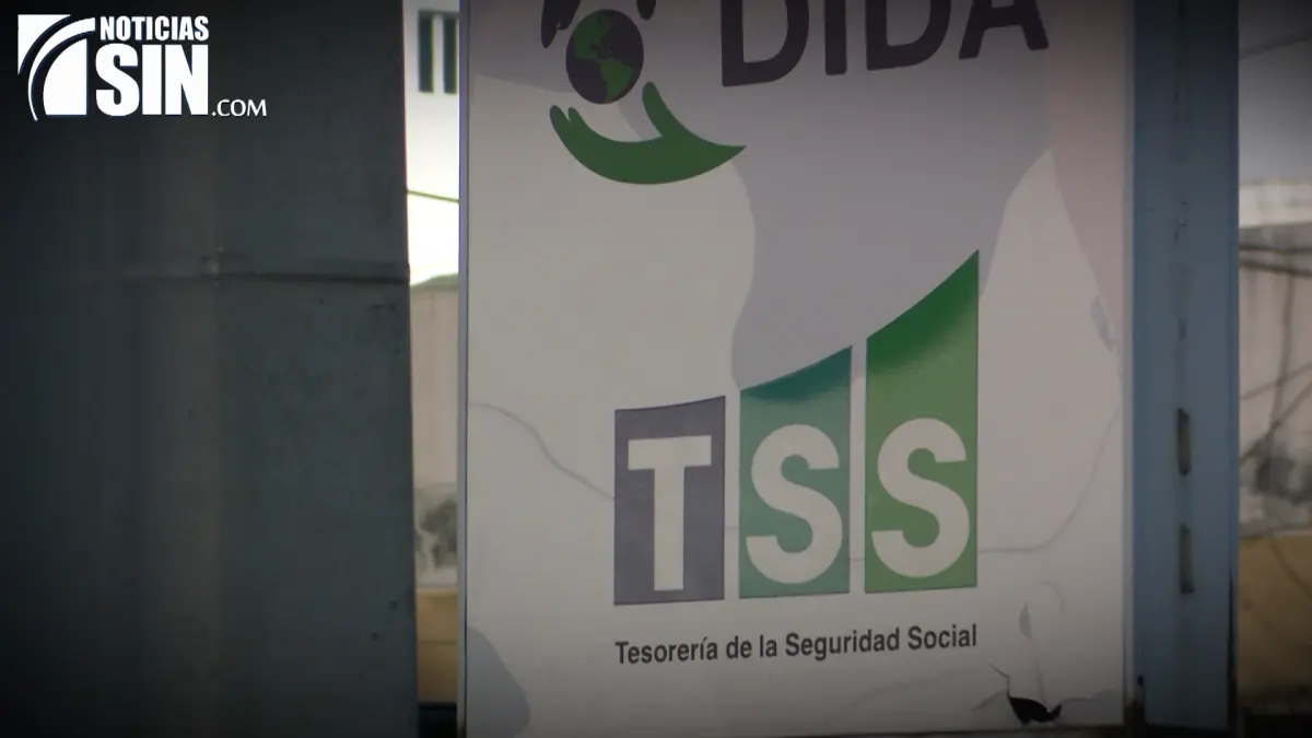 Estafas a la Tesorería de la Seguridad Social (TSS) continúan, revela investigación