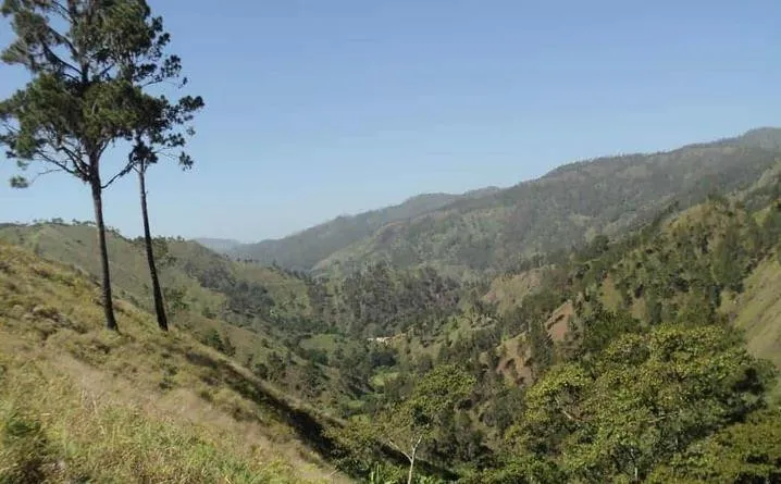 Presidente de Gold Quest en lugar de ser una amenaza seriamos aliados para la preservación de la vida en valle de San Juan