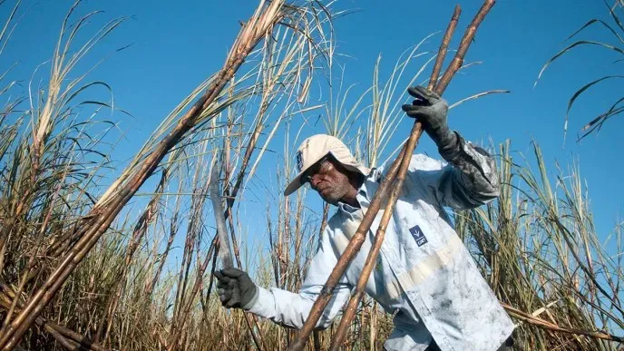 Central Romana ha recibido con gran asombro acusaciones de Estados Unidos sobre trabajo forzoso