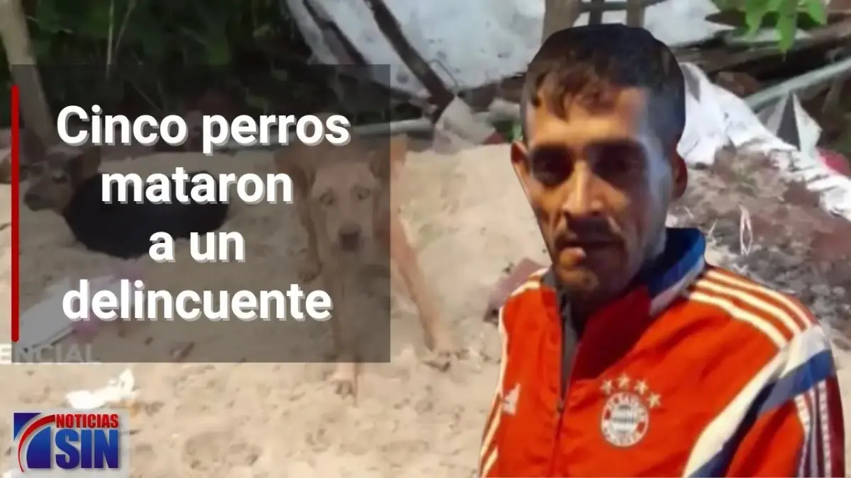 #NoticiasYMuchoMás: Perros, Gofio y Masacre