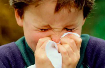 ¿Qué es el rinovirus y cómo tratarlo?