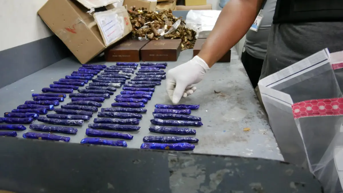 Video: Ocupan 99 envolturas de cocaína camufladas en cigarros serían llevados a EE.UU.