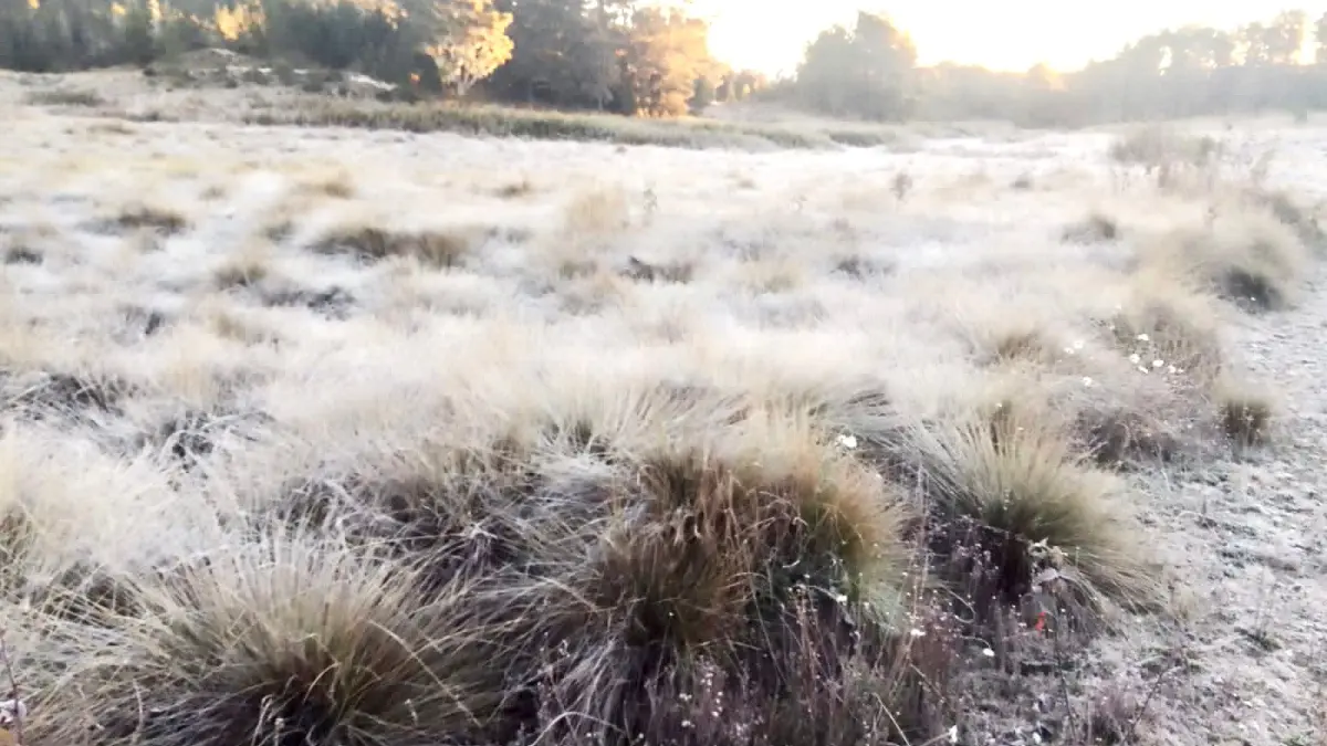 Se registran temperaturas de -7.6 °C en Valle Nuevo, Constanza