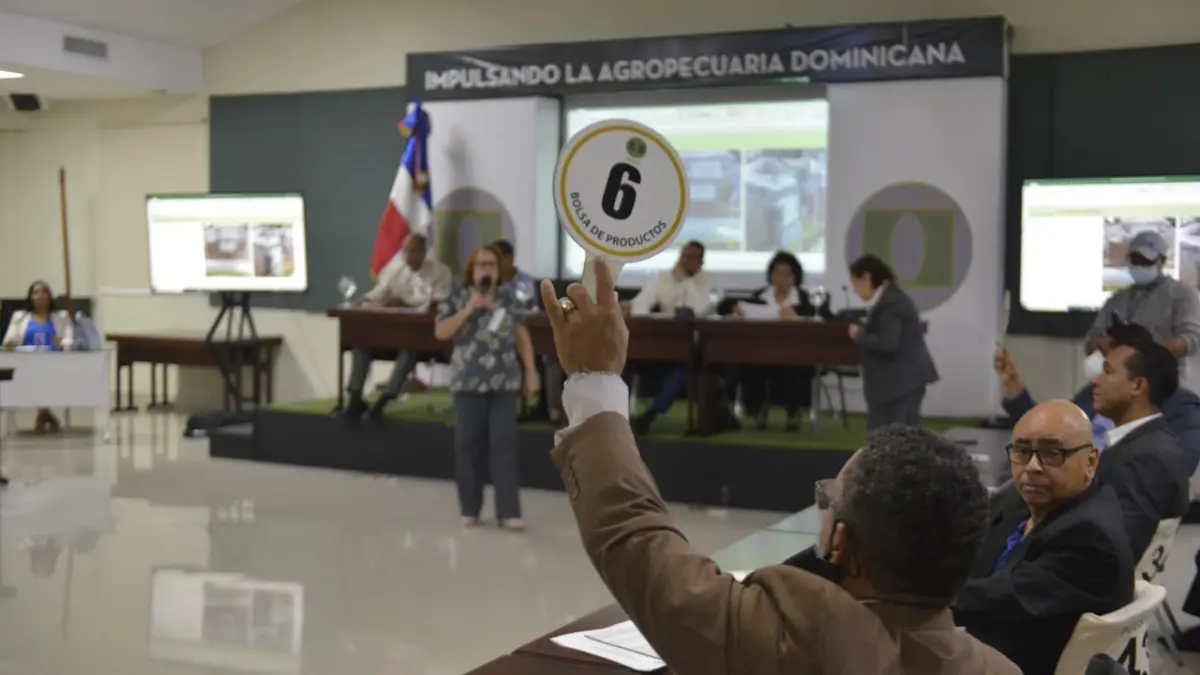 Aduanas recauda RD$106,184,276.13 en subastas públicas del 2022