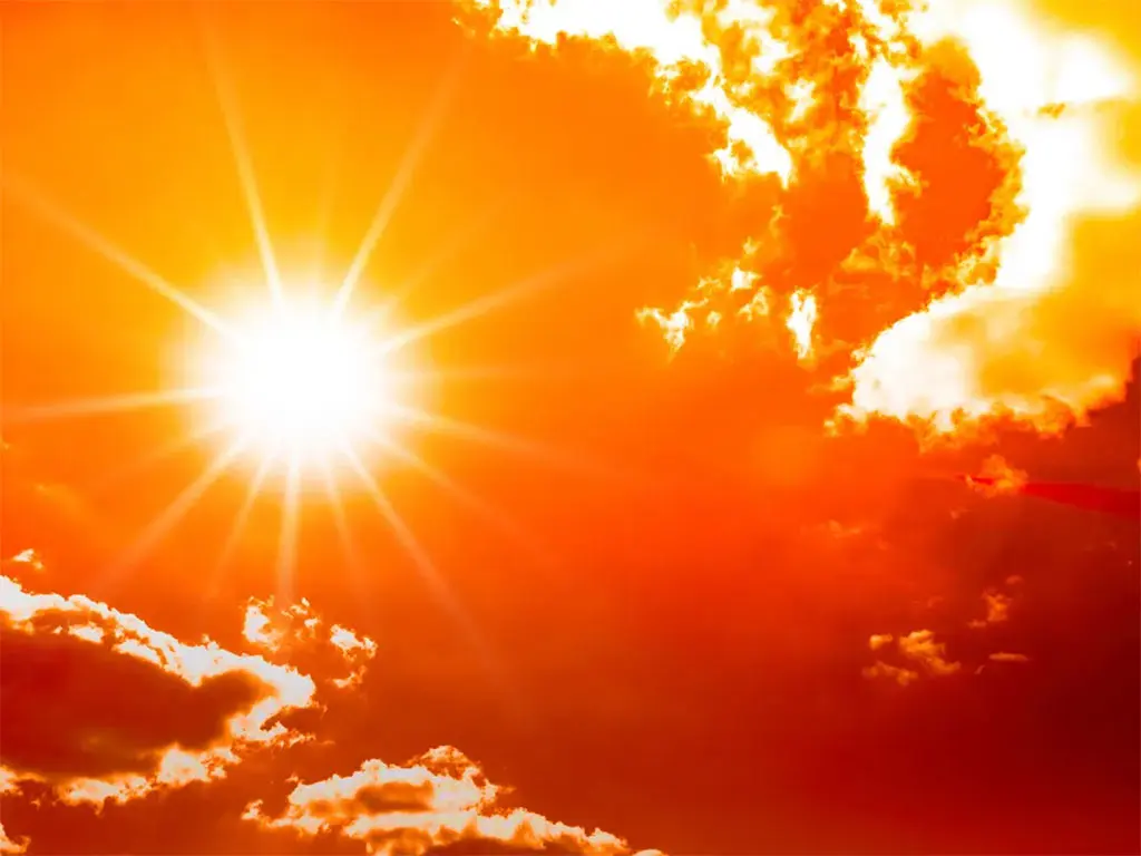 Mueren 11 personas por insolación en masivo evento en el oeste de la India