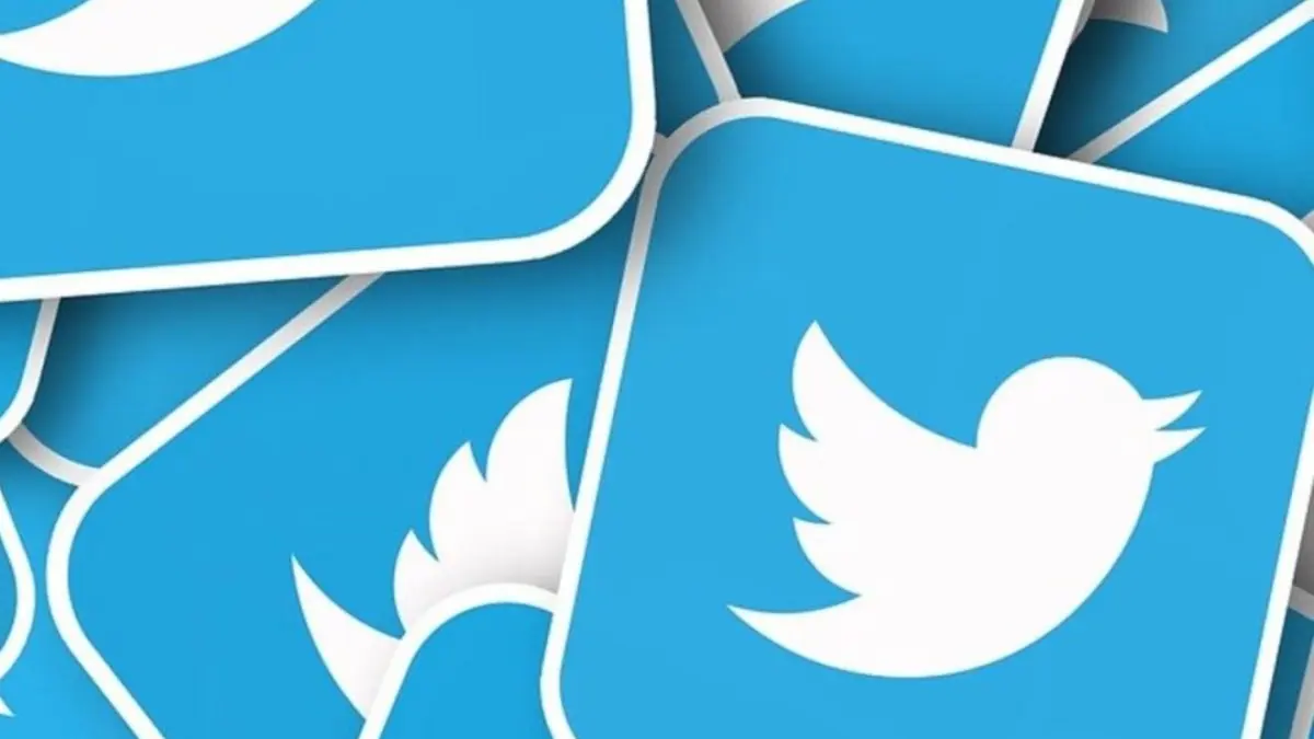 La metamorfosis de Twitter en el año transcurrido bajo la sombra de Elon Musk