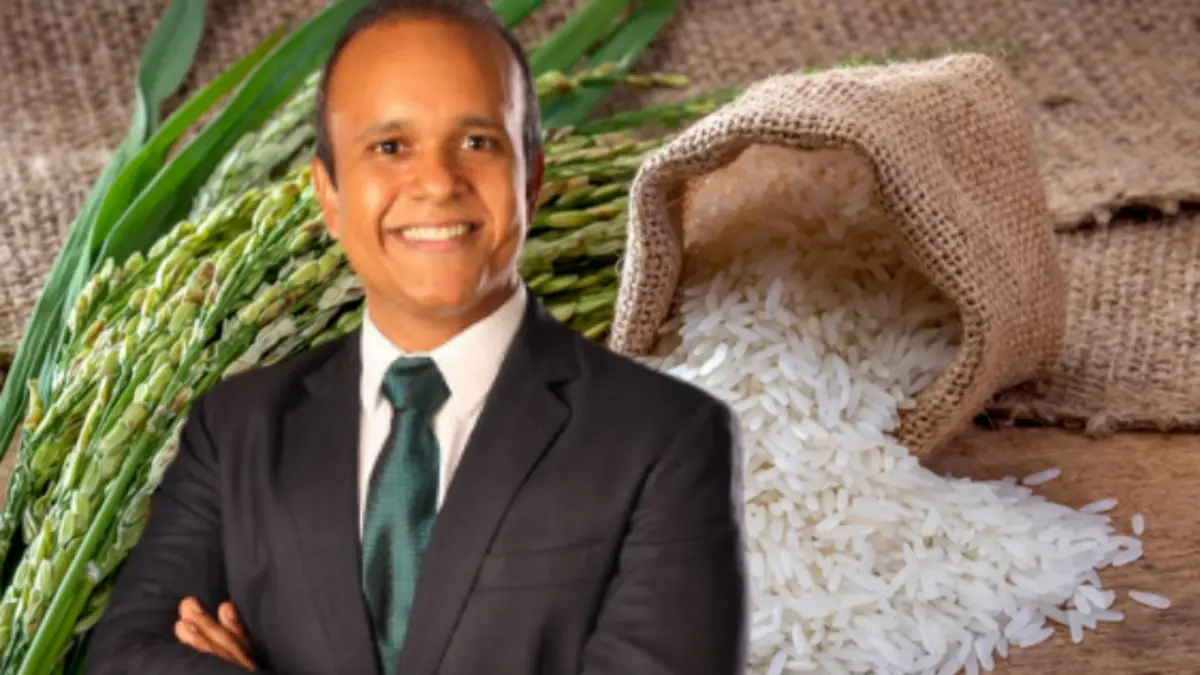 Unión Arrocera Dominicana desmiente rumores sobre el alza del cereal