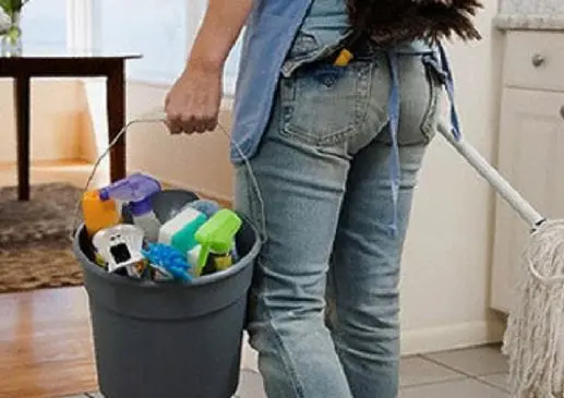 TC considera Ministerio de Trabajo usurpó funciones al incurrir en una afrenta con resolución que reguló trabajo doméstico