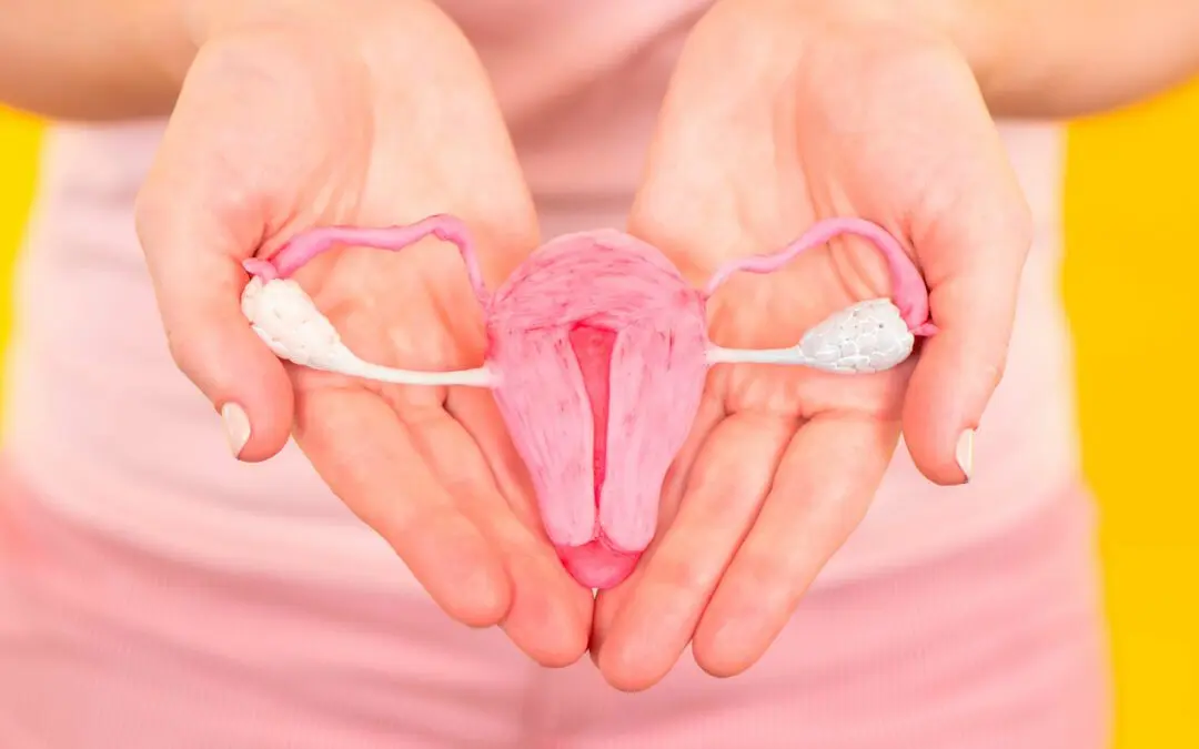 Histerosalpingografía: ¿cuándo, cómo y para quién está indicada?