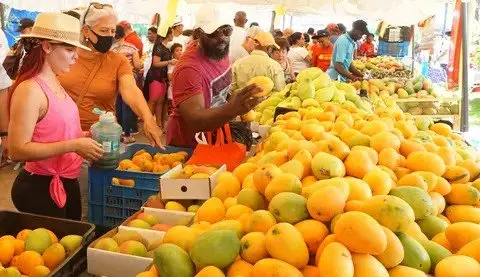 Mango: propiedades y beneficios de esta fruta tropical