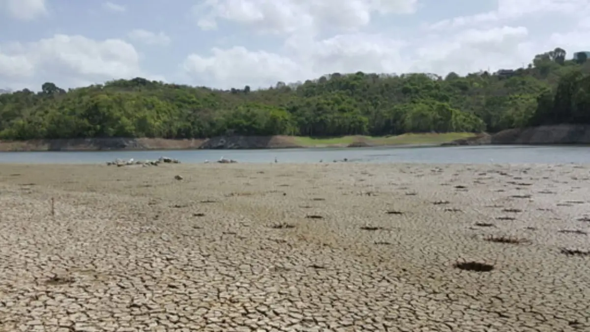 Puerto Rico sufre de sequía severa por primera vez en un año