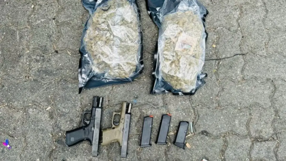 Autoridades ocupan marihuana y dos pistolas en puerto de Haina; apresan uno