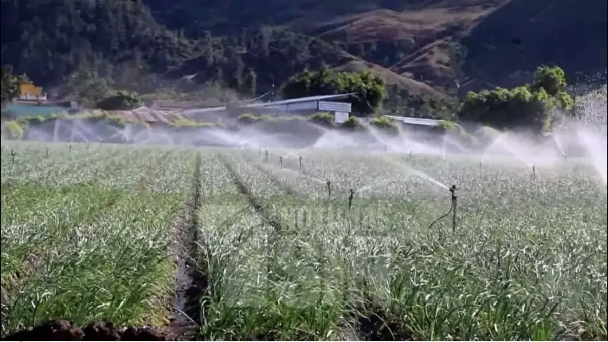 El 70% de agua destinada a agricultura se desperdicia