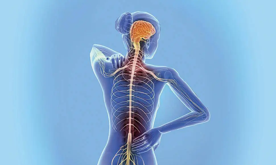 Tratar la esclerosis múltiple en los primeros seis meses reduce el riesgo de discapacidad