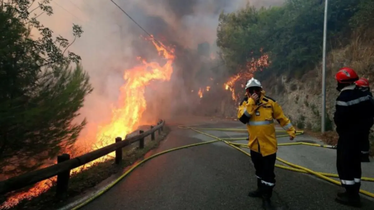 Detenido por incendio mortal en Francia, reconoce su responsabilidad